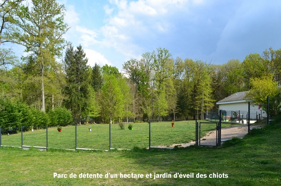 jardin-d-eveil