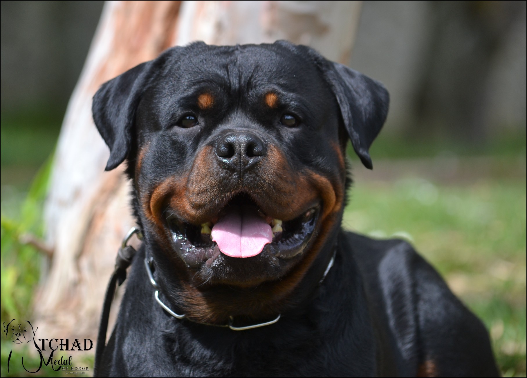 nouveau-mariage-en-vue