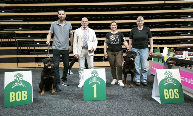 weekend-en-allemagne_1